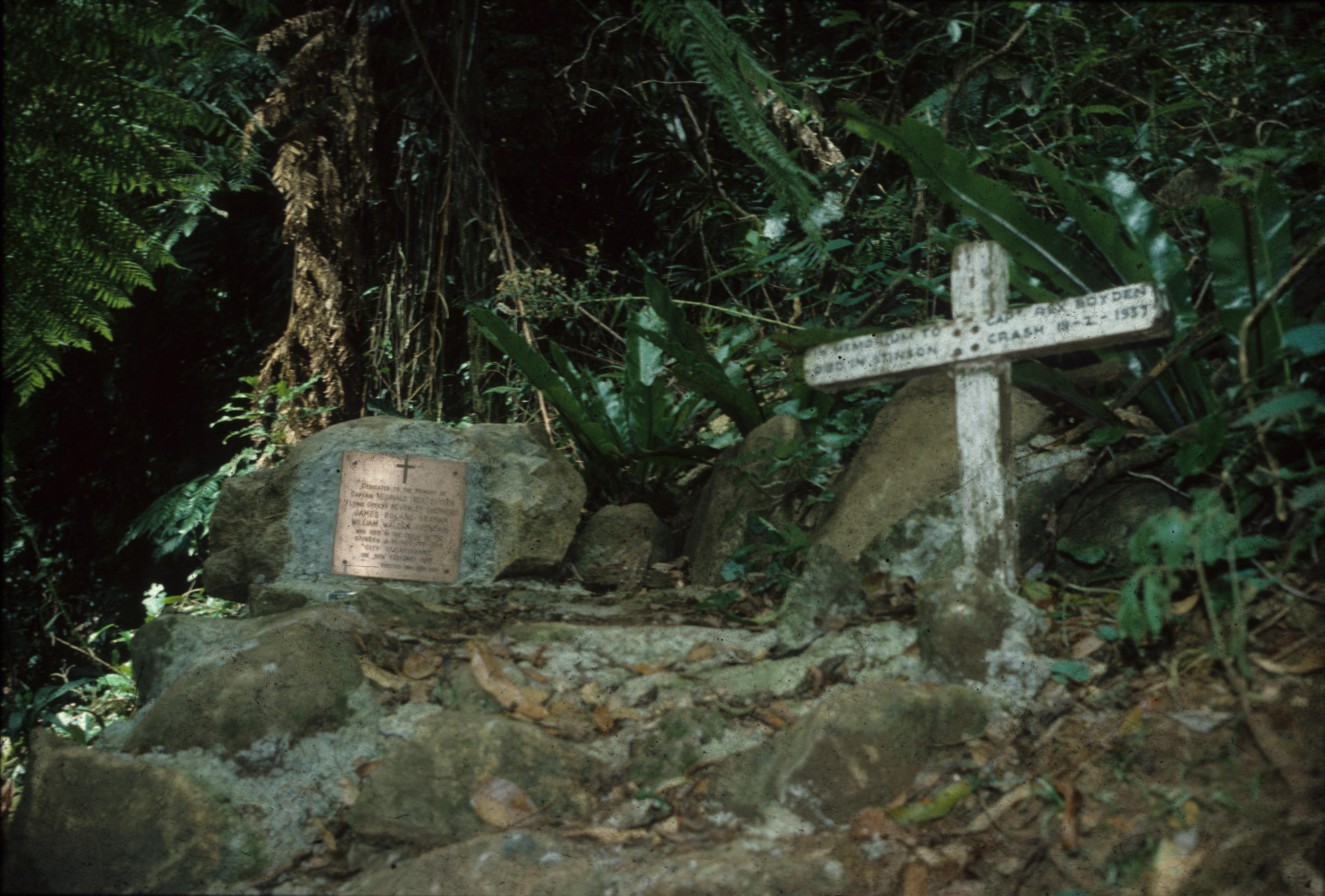 Lamington National Park