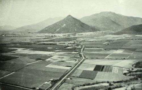 Aerial view of Gordonvale and surrounding cane farms, 1954