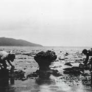 Fossicking at low tide was one of the main activities for early holiday makers, c1932