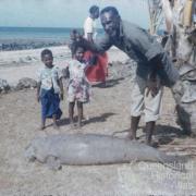 Dugong hunting, Torres Strait, 1958
