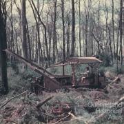 Land clearing, Kingaroy Shire, 1955