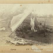 Camp at Tinnenburra, c1910