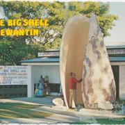 The Big Shell, Tewantin