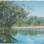 Channel Country billabong, 1980