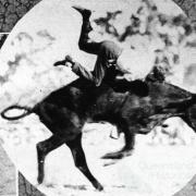 Bull riding at the Mount St John rodeo, 1933
