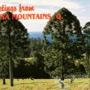 Bunya Mountains postcard