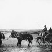 Chinese merchants, Darling Downs, 1875