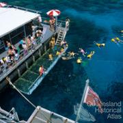 Tourists diving from a pontoon on the Outer Barrier Reef, 1991 