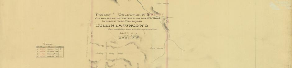 Cullin-la-ringo run, selection 67, 1877