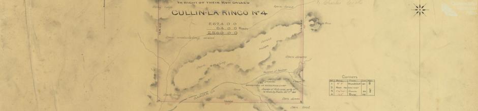 Cullin-la-ringo run, selection 68, 1877