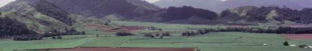 Sugar cane, Atherton Shire, 1966