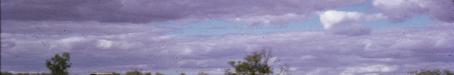 Thylungra station polo cross, west of Quilpie, 1976