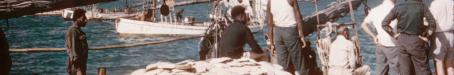 Pearl shell on the wharf, Thursday Island, 1958