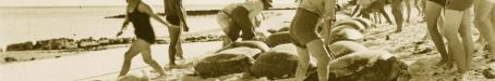 A group of visitors prepare for turtle riding at Mon Repos, c1930