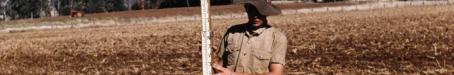 Surveying contour bank, Murgon, 1958