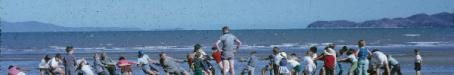 Sunday School picnic tug of war on the Strand, Townsville, 1962