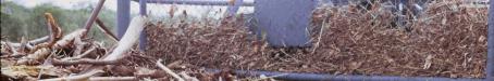 Damage caused by Cyclone Ada, Collinsville, 1970