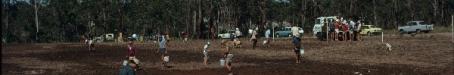 Digger Street soccerfield under construction Bundaberg, 1970