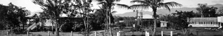 Meringa farm, Bureau of Sugar Experiment Stations, c1935