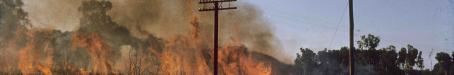 Burning sugar cane near Cairns, 1965