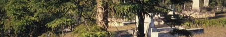 Toowong Cemetery, 1991