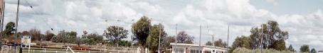 Bowls club, Emerald, 1964