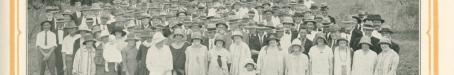 Sure proof of a white race living and thriving in the Queensland tropics, 1928