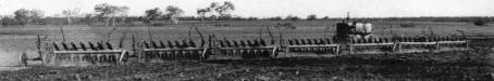 Ploughing phase on Peak Downs, 1948