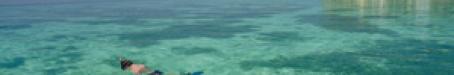 A snorkeller views the shallow corals at Heron Island, 1997 