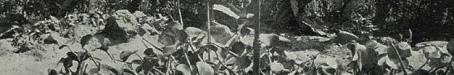 Inside the Gordonvale garden gazebo, 1935