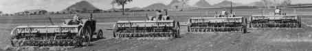 Planting the first sorghum crop on Peak Downs, January 1949